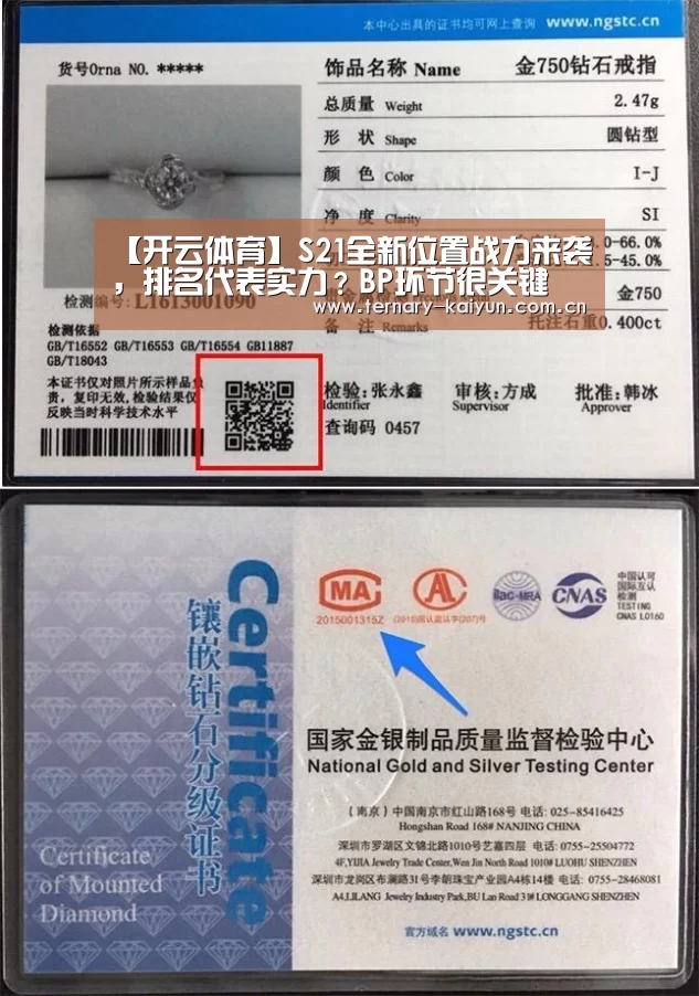 【开云体育】S21全新位置战力来袭,排名代表实力?BP环节很关键(图2) 开云体育