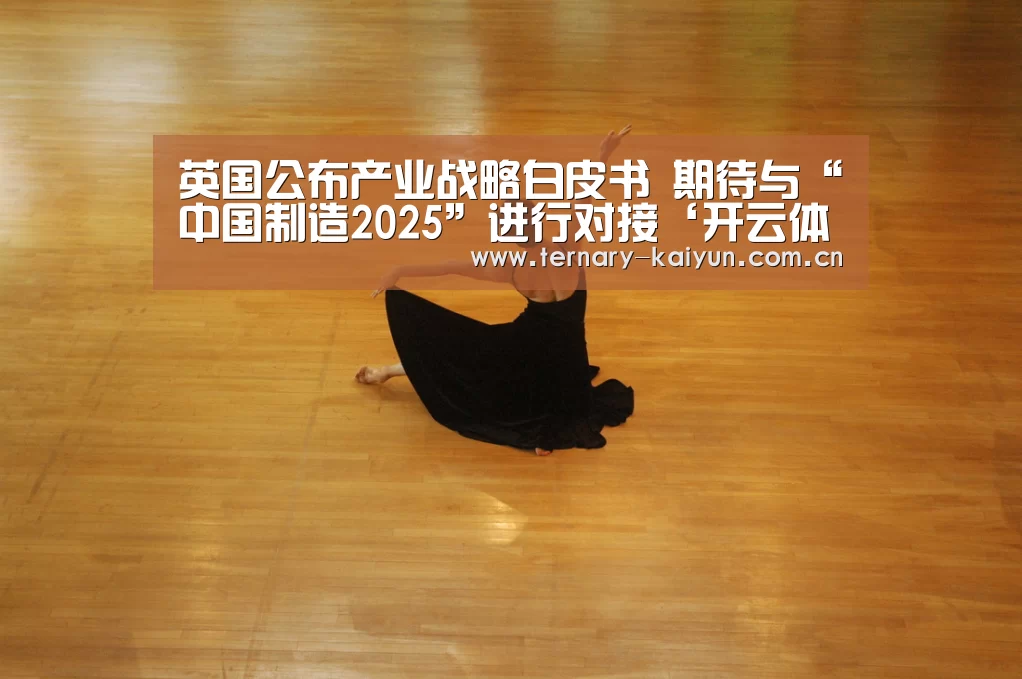 英国公布产业战略白皮书 期待与“中国制造2025”进行对接‘开云体育’(图3) 开云体育