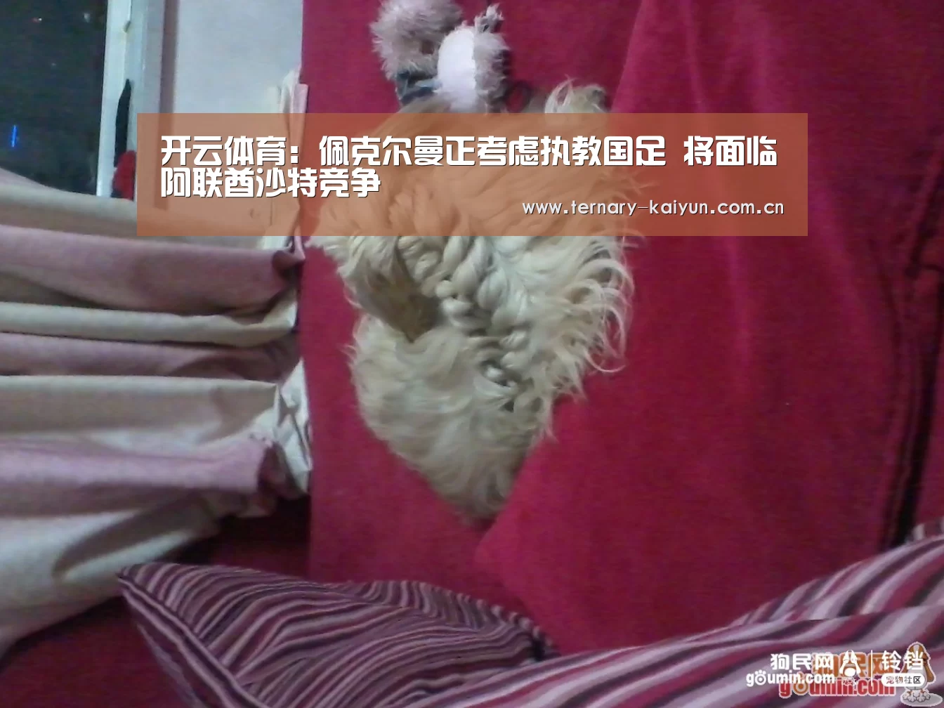 开云体育