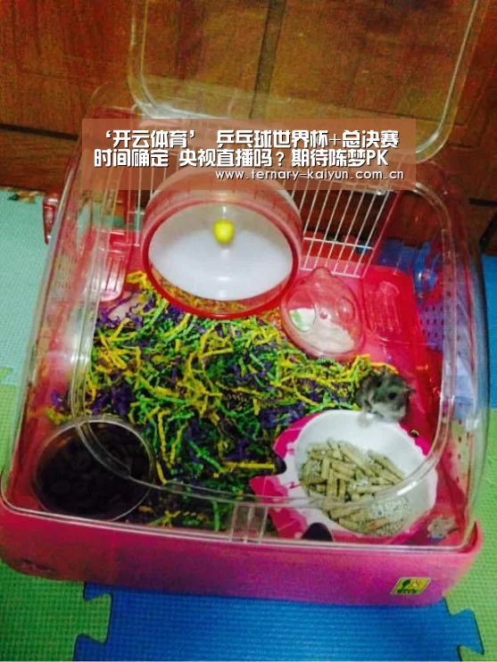 ‘开云体育’
乒乓球世界杯+总决赛时间确定 央视直播吗?期待陈梦PK伊藤美诚(图2) 开云体育