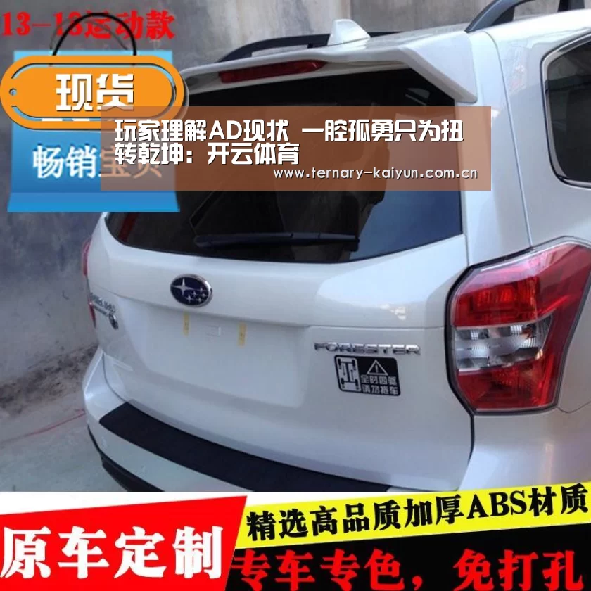 玩家理解AD现状 一腔孤勇只为扭转乾坤:开云体育(图2) 开云体育