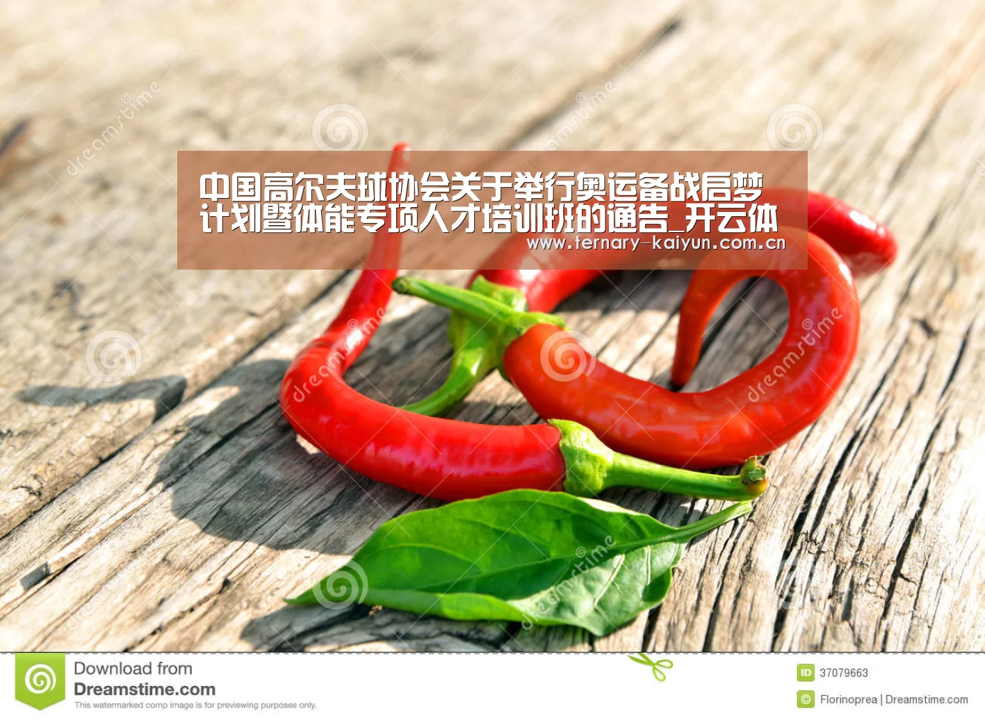 开云体育